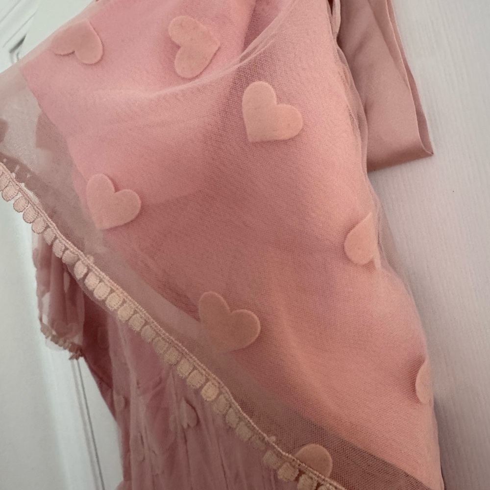 NWOT Ivy City Co Blush Heart Appliqué Dress - Picture 4 of 10